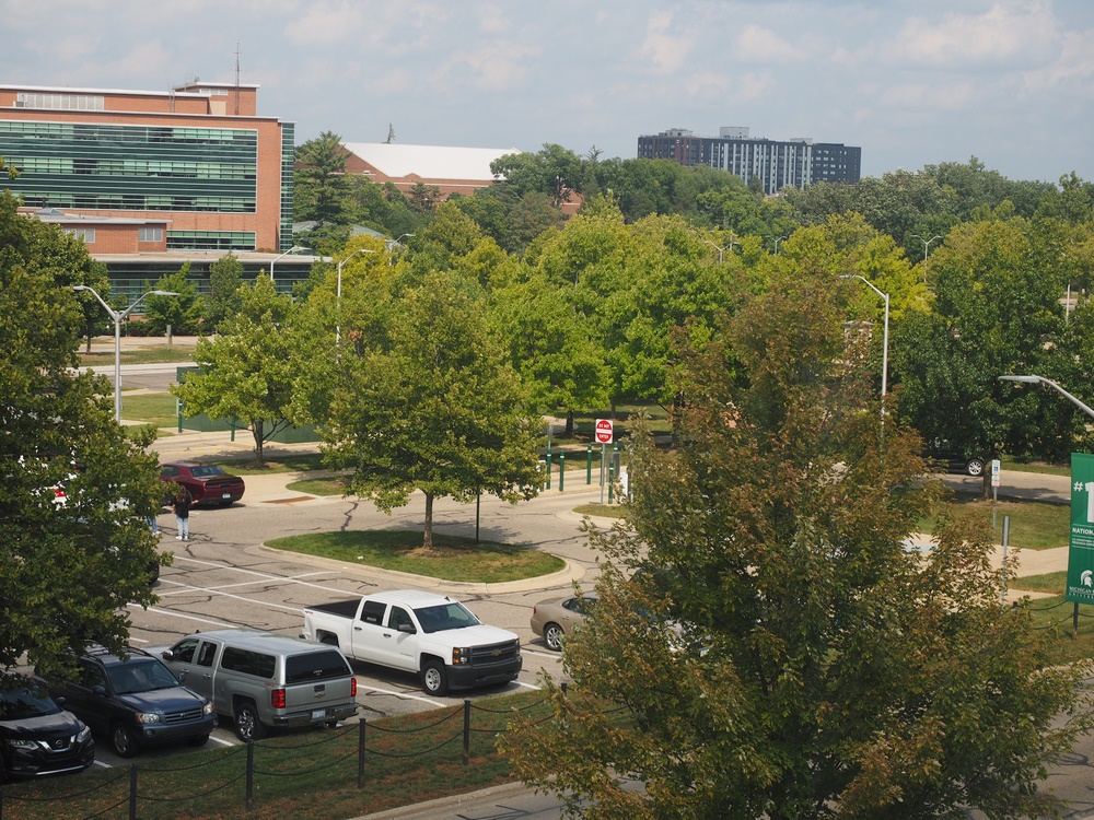 Capstone Experience Photo