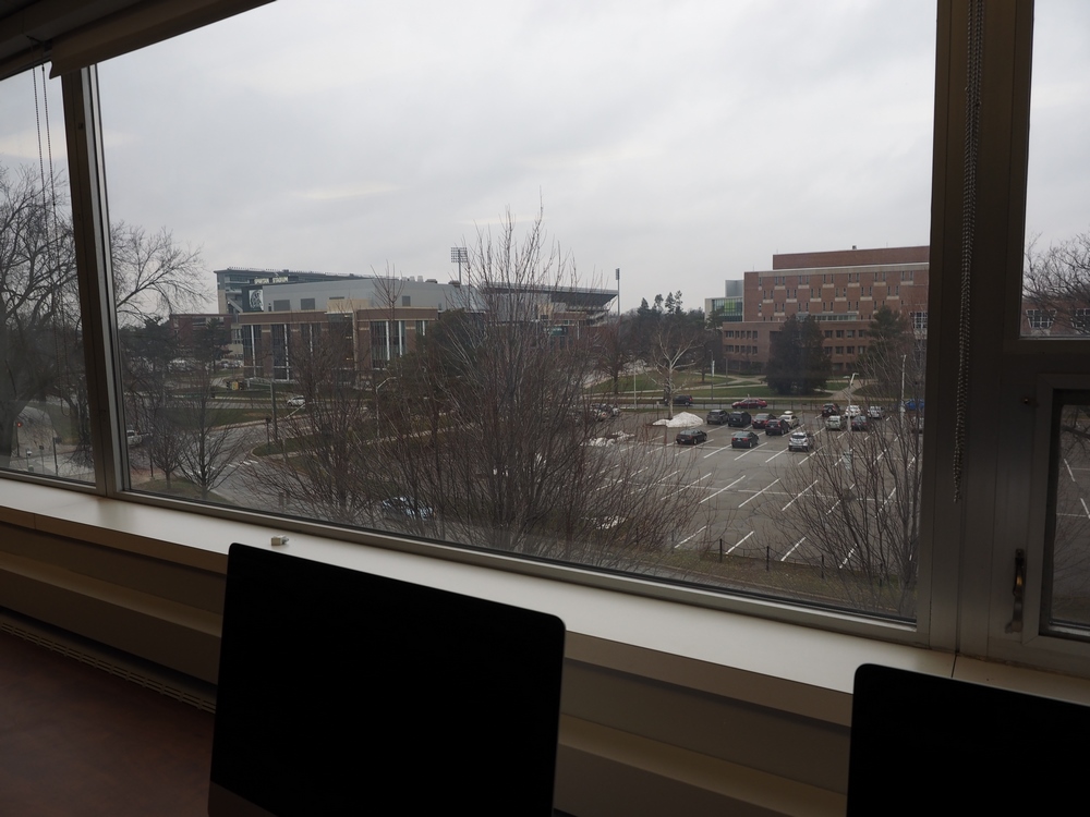 Capstone Experience Photo