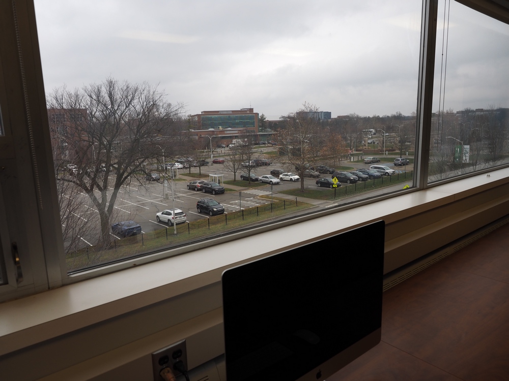 Capstone Experience Photo