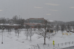 Capstone Experience Photo