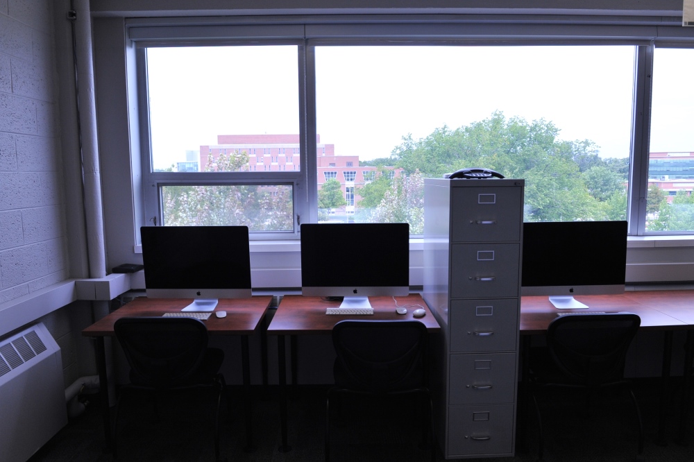 Capstone Experience Photo