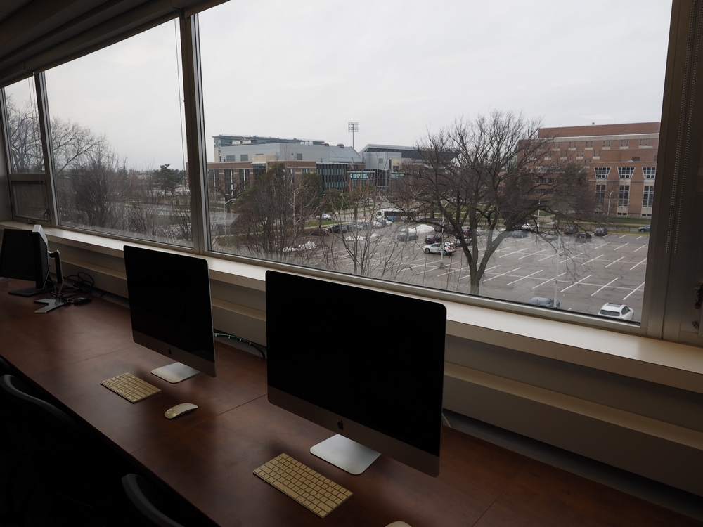 Capstone Experience Photo