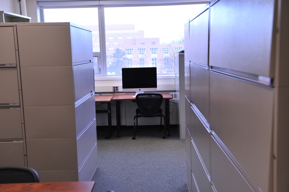 Capstone Experience Photo