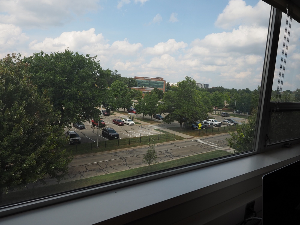 Capstone Experience Photo