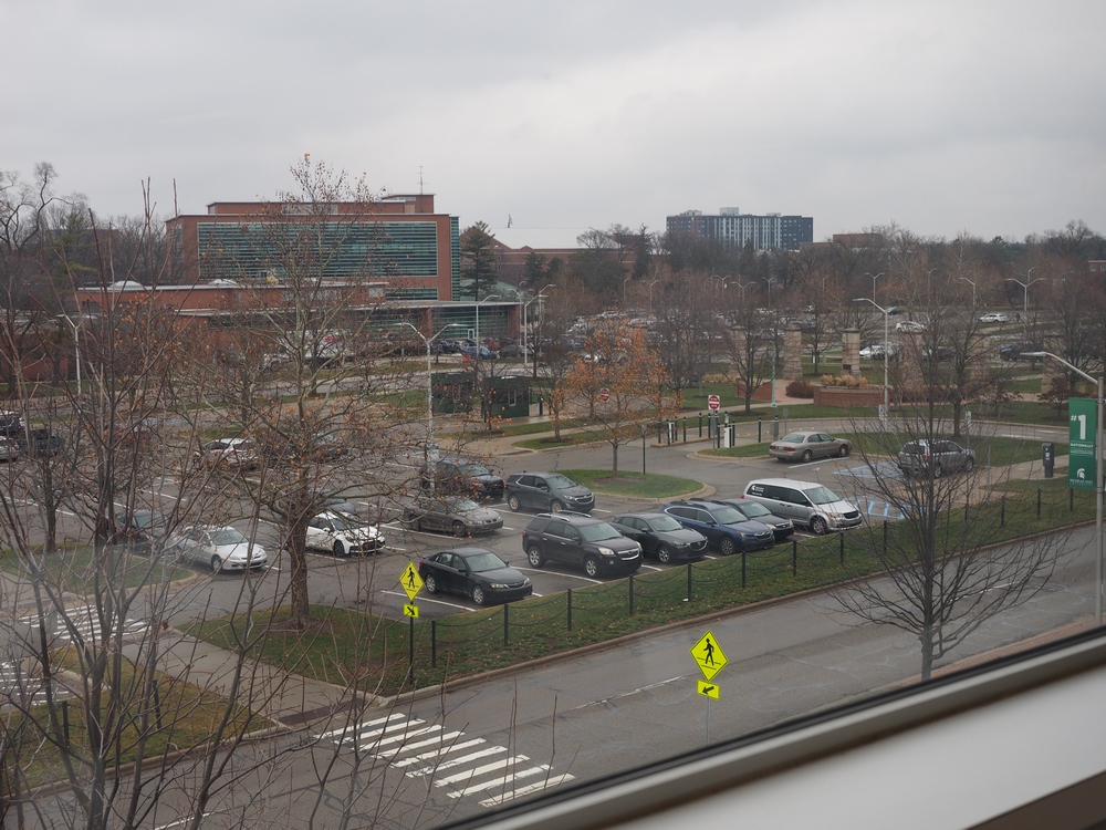 Capstone Experience Photo