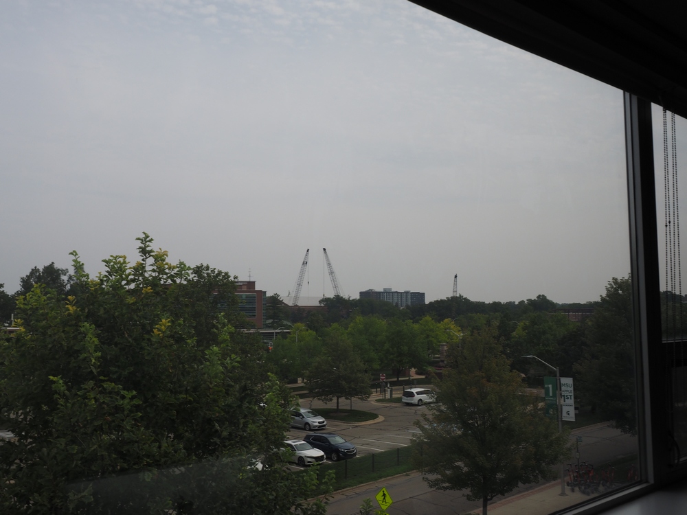 Capstone Experience Photo