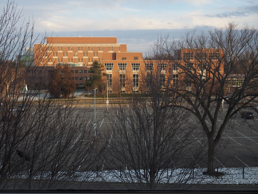 Capstone Experience Photo
