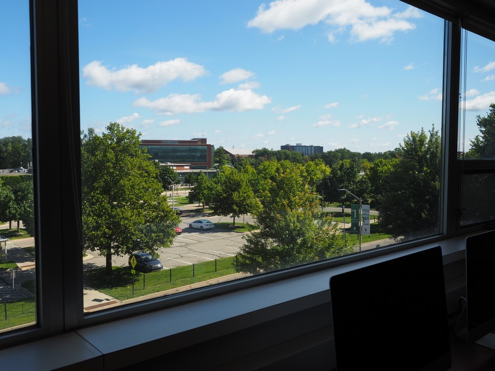 Capstone Experience Photo
