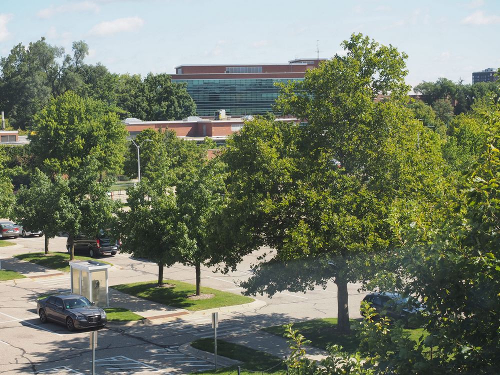 Capstone Experience Photo