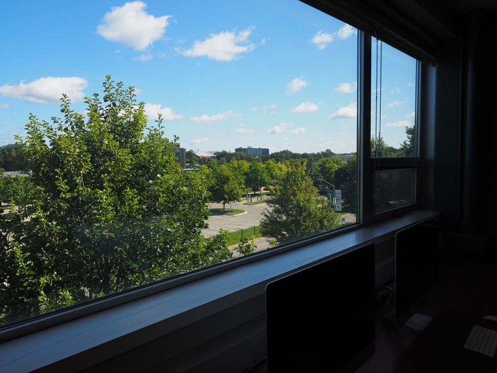 Capstone Experience Photo