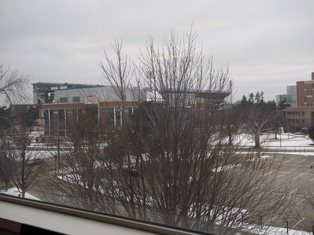 Capstone Experience Photo